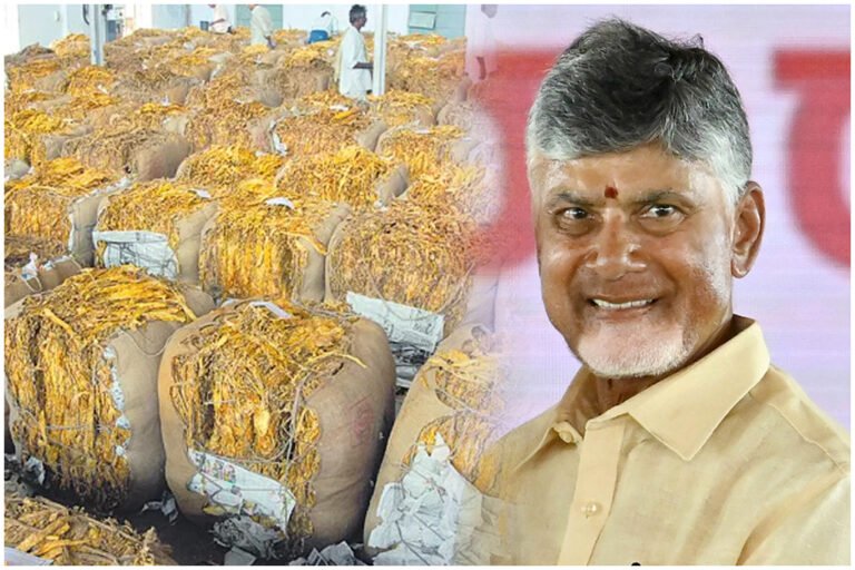 FCV Tobacco Prices Andhra Pradesh