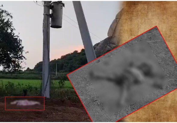 Hanamkonda Electric Shock Boy Death