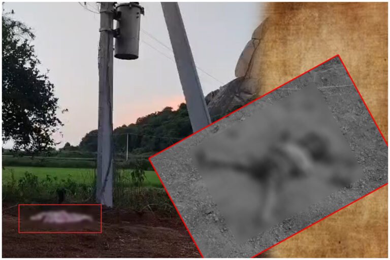 Hanamkonda Electric Shock Boy Death