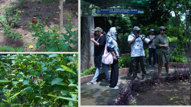 Hanamkonda Zoo Park