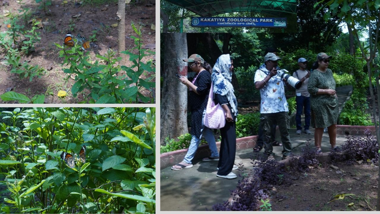 Hanamkonda Zoo Park