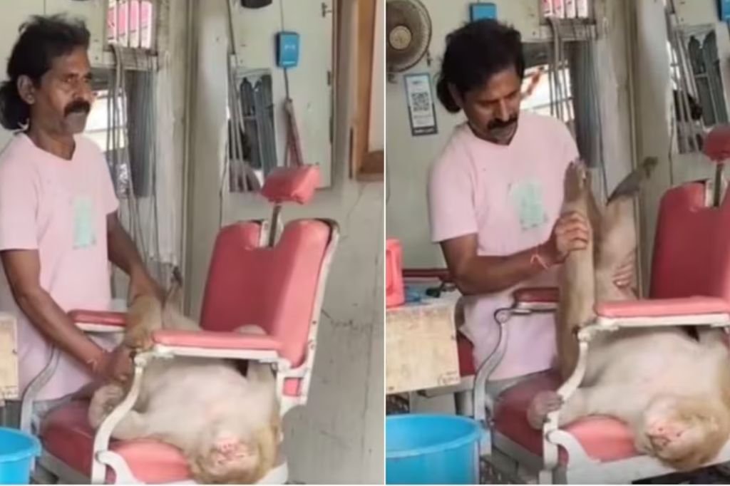 Monkey Massage