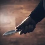Vaishnavi Murder Revenge,