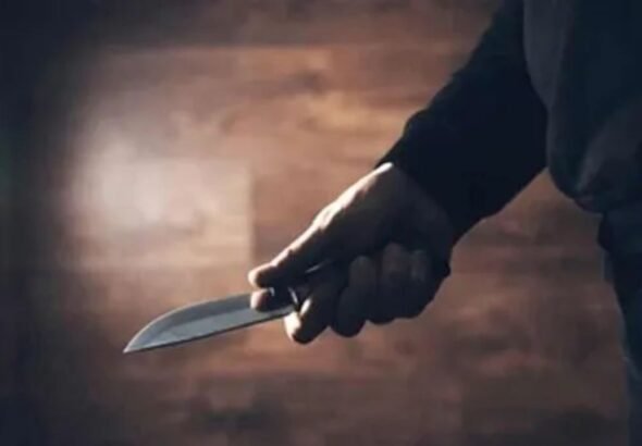 Vaishnavi Murder Revenge,