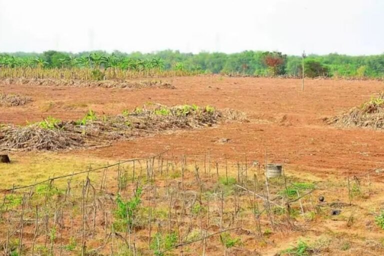 22A Lands
