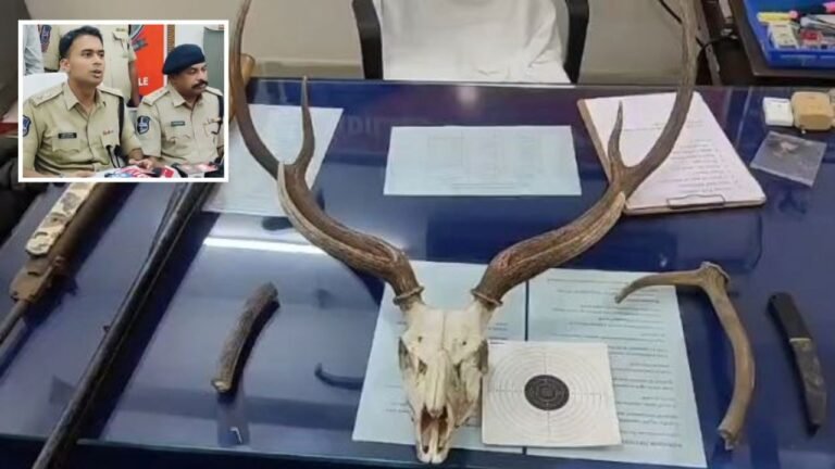 Adilabad Wildlife Hunting