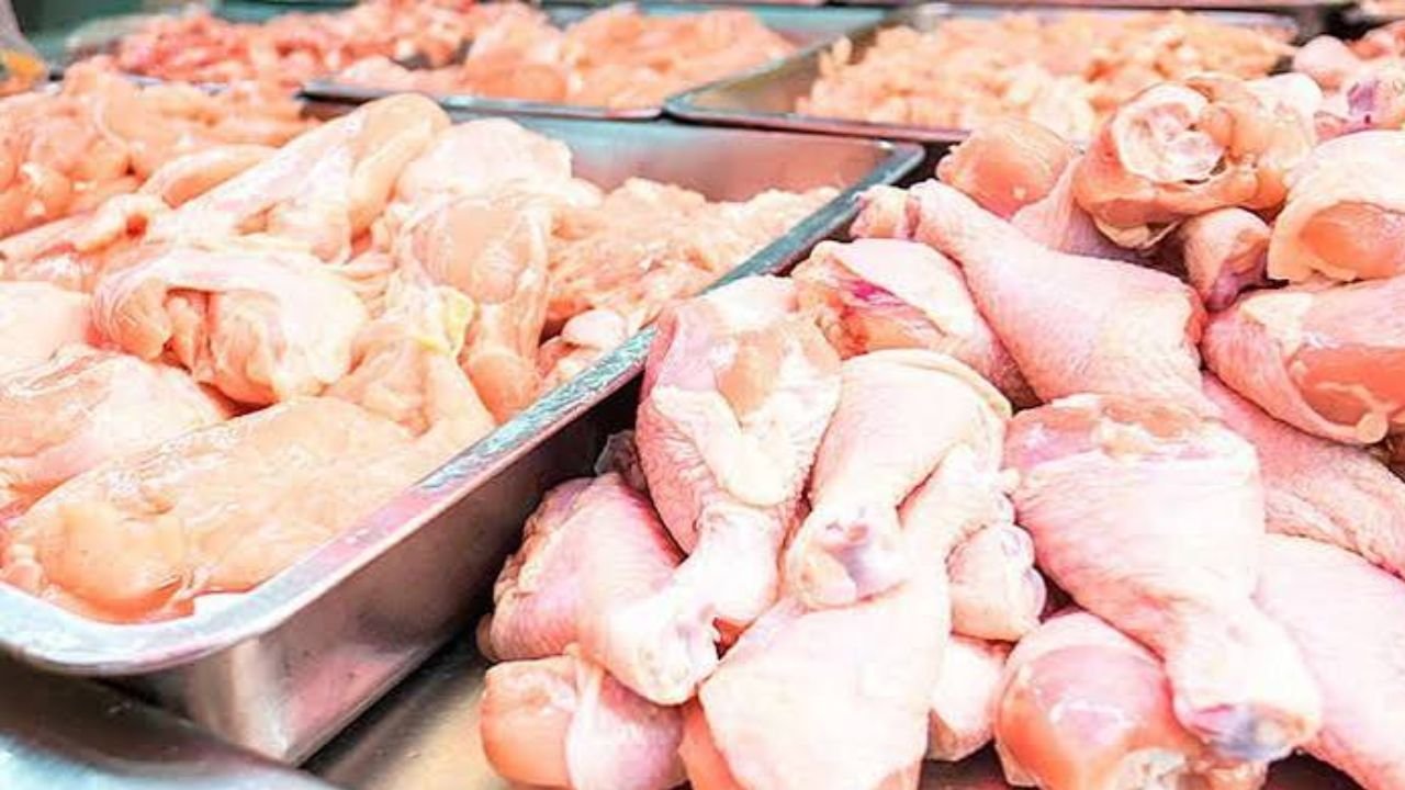 Chicken Price Today