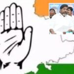 Graduate MLC Elections