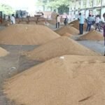 Jai Sriram Paddy