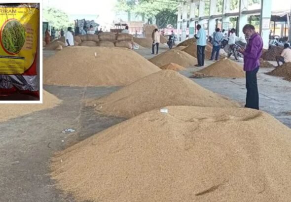 Jai Sriram Paddy