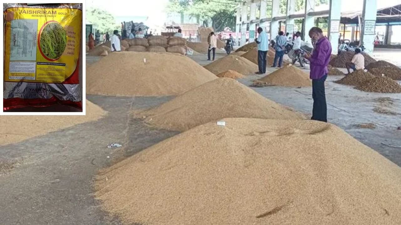 Jai Sriram Paddy