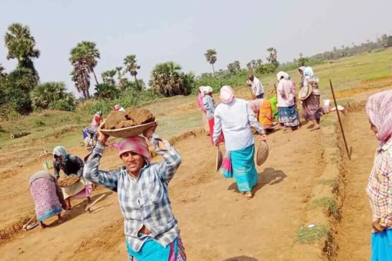 Kamalapur