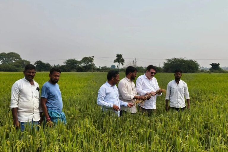 Kamalapur