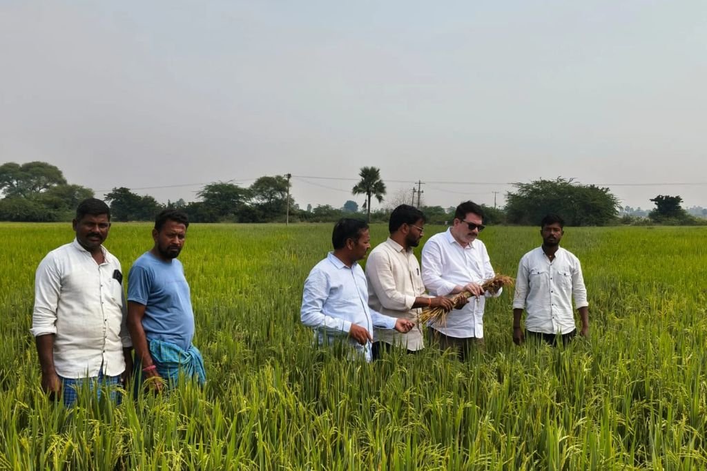 Kamalapur