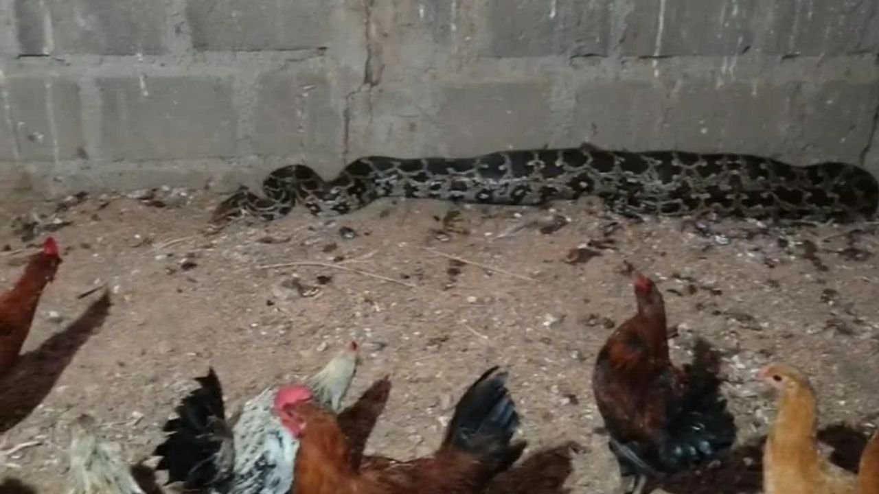 Komuram Bheem Asifabad python