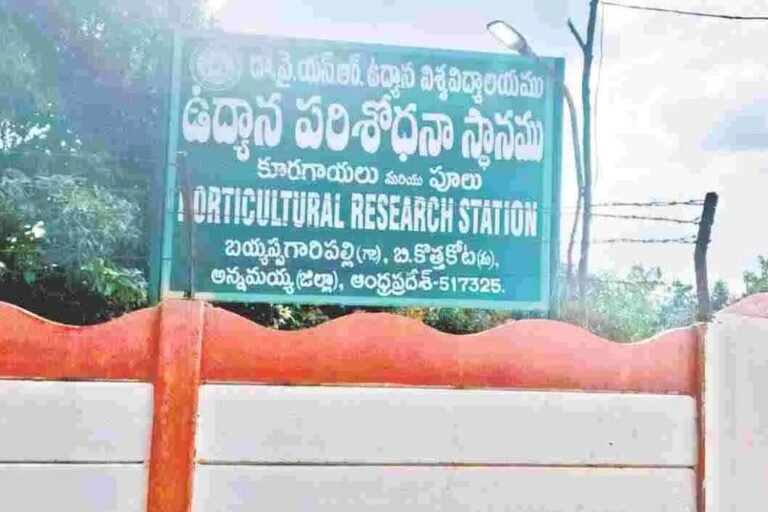 Madanapalle