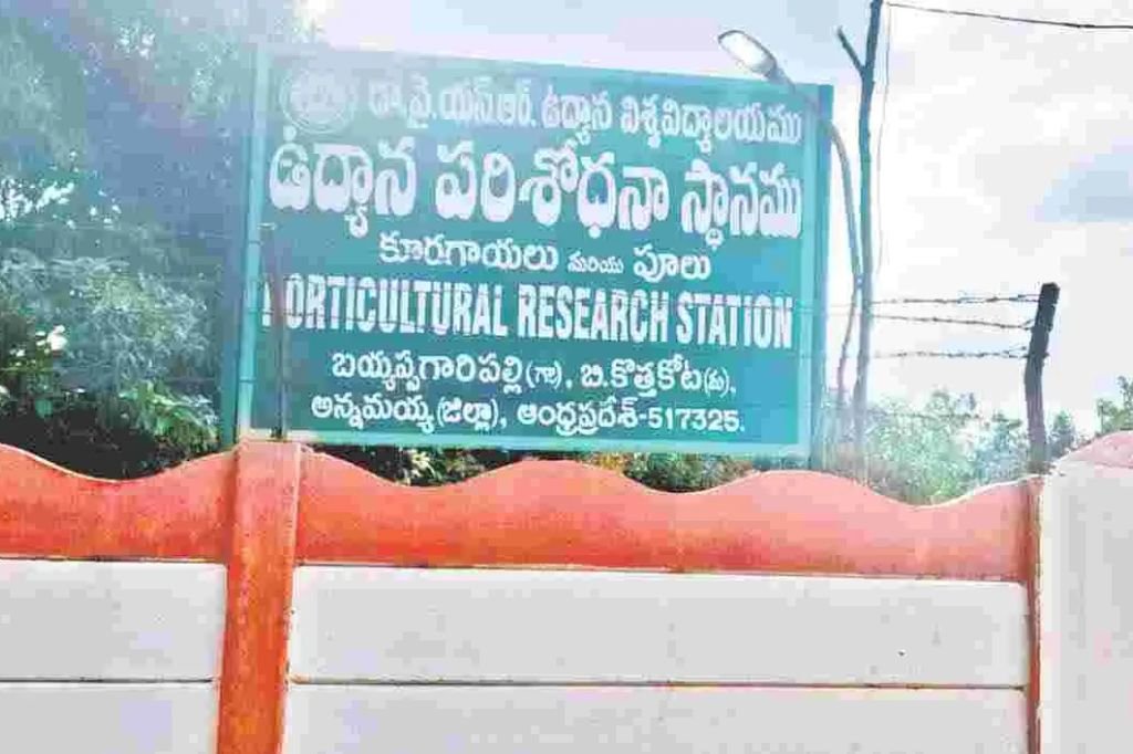 Madanapalle