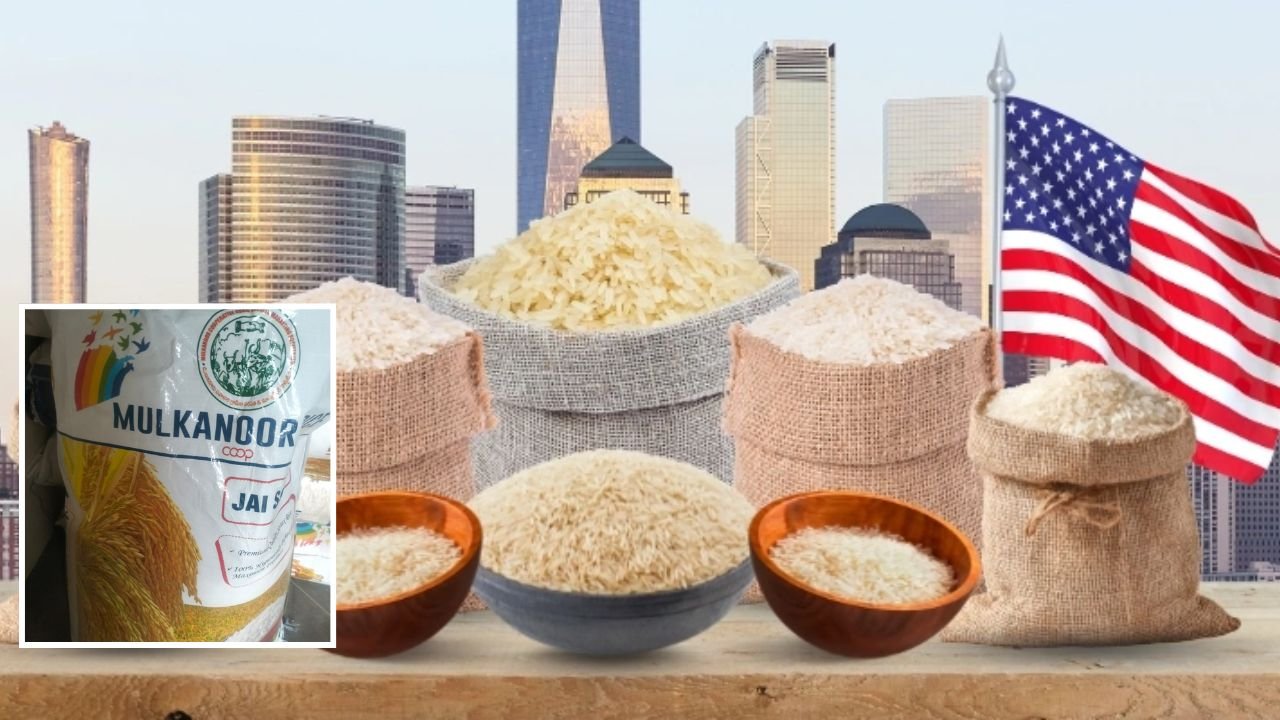 Mulukanoor Rice Export