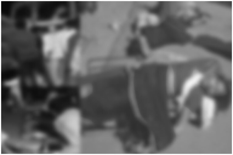 Nirmal Road Accident