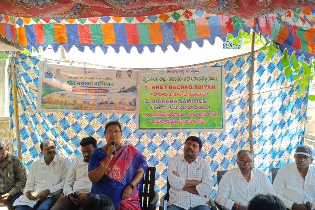 Rayaparthi