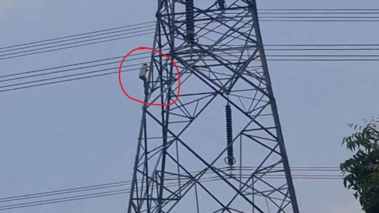 Warangal Husband Tower Incident Husband Family Dispute